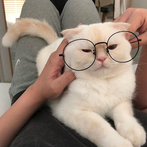 Meet your Posher, Alexa